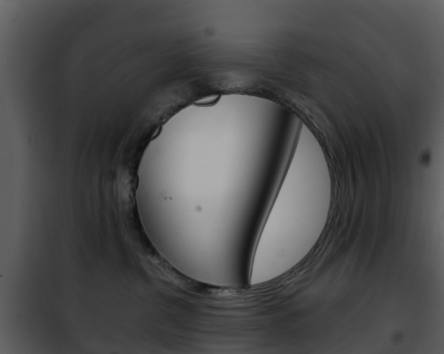 X0000101970380200807180732