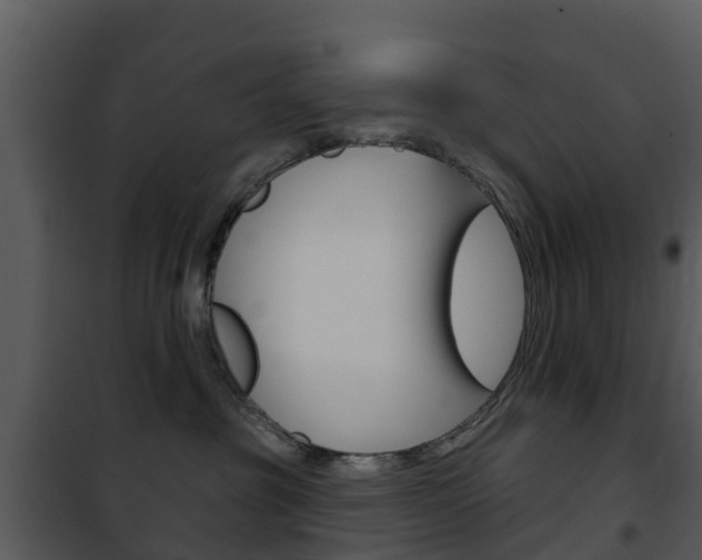X0000101970381200807180732