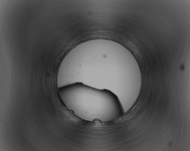 X0000101970382200807180732