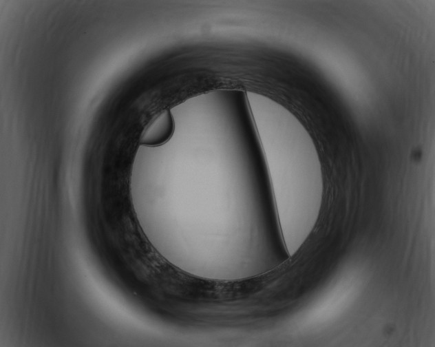 X0000101970383200807180732