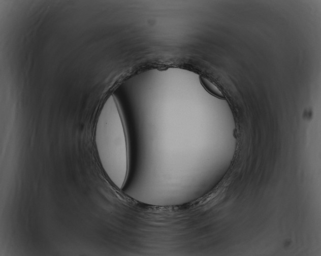 X0000101970384200807180732