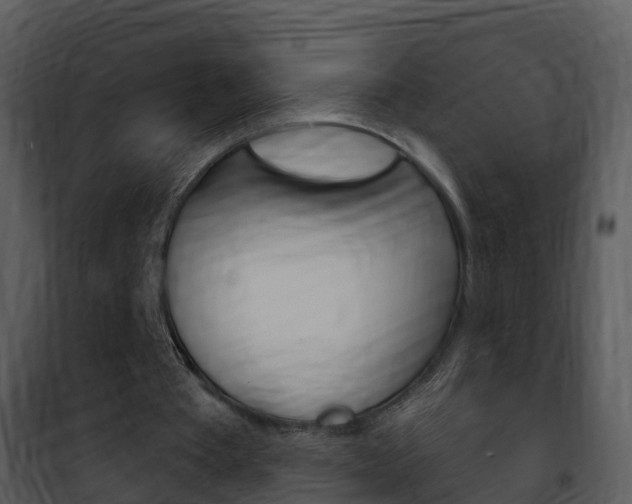 X0000101970385200807180731