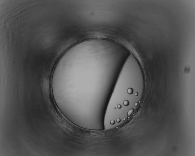 X0000101970386200807180731