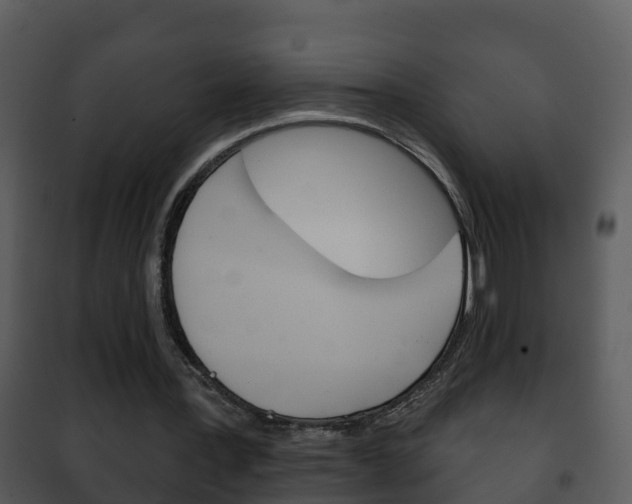 X0000101970387200807180731