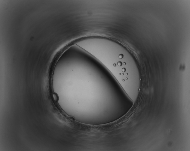X0000101970388200807180731