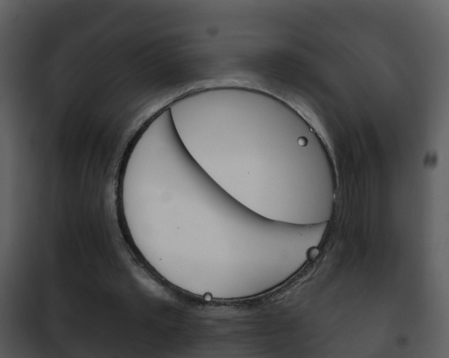 X0000101970389200807180731