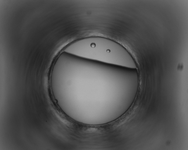 X0000101970390200807180731
