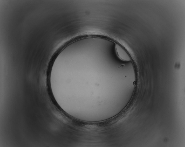 X0000101970391200807180731