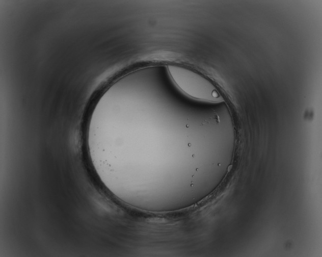 X0000101970392200807180731