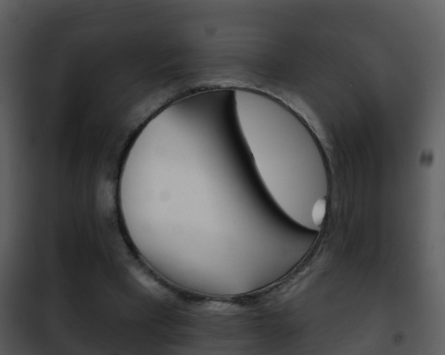 X0000101970393200807180731