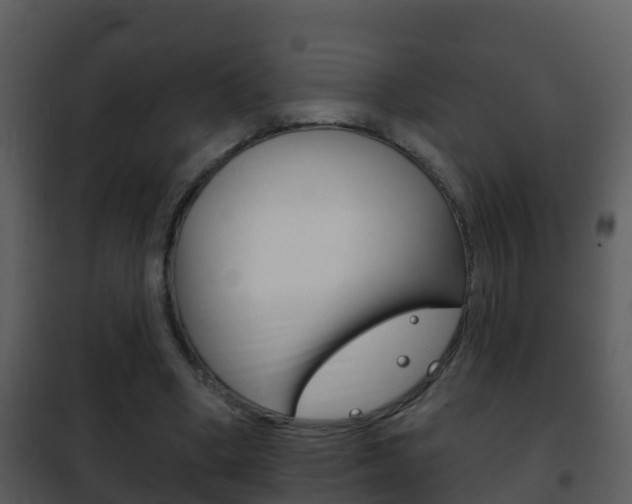 X0000101970394200807180731
