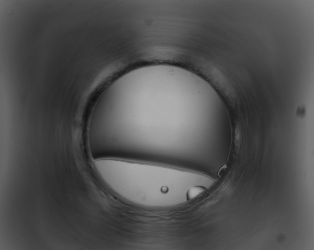 X0000101970396200807180731