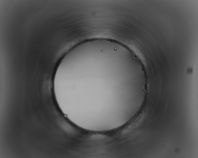 X0000101970397200807180731