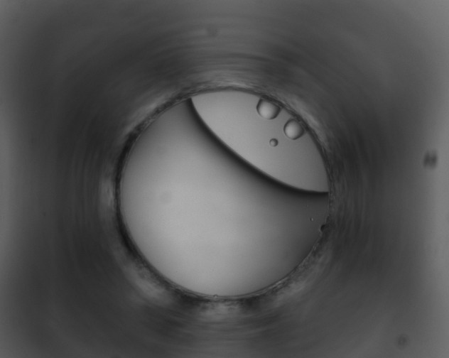 X0000101970398200807180731