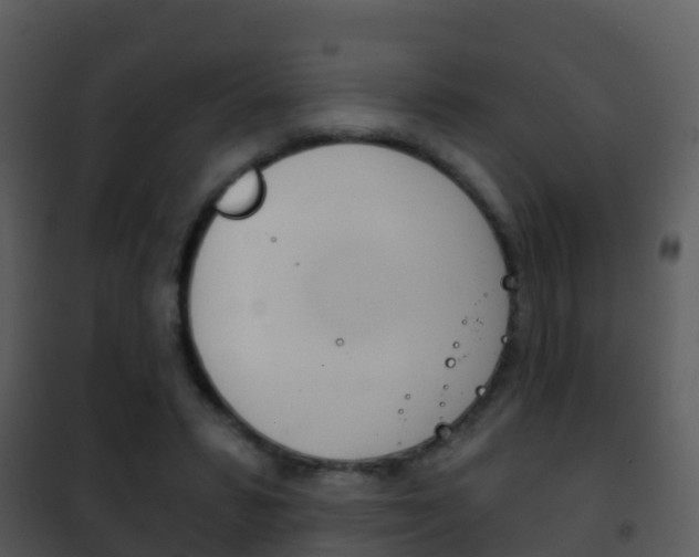X0000101970399200807180731
