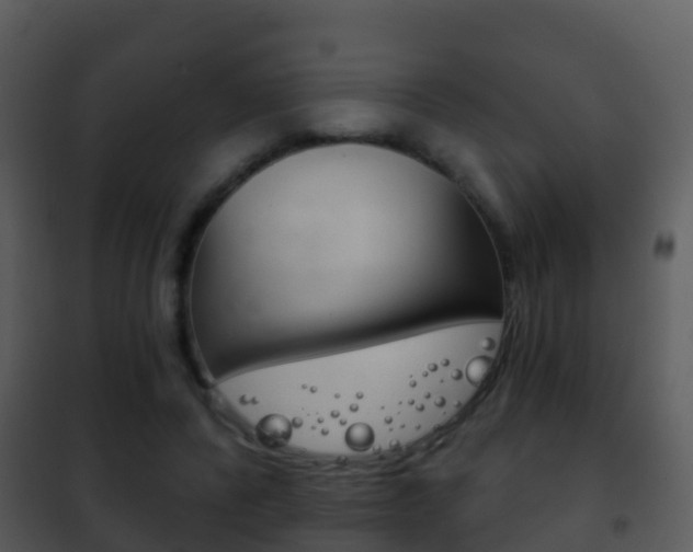 X0000101970400200807180731