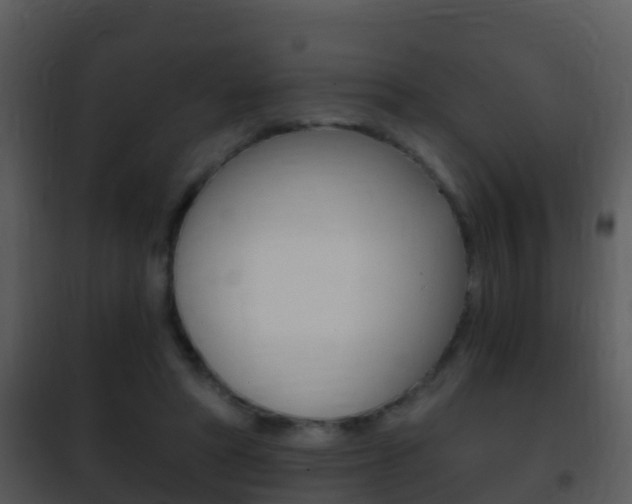 X0000101970402200807180731