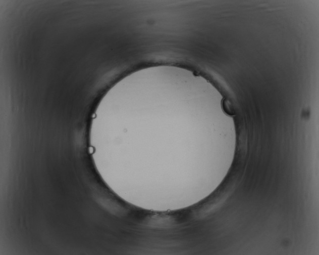 X0000101970403200807180731