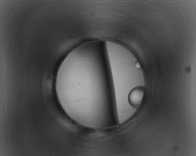 X0000101970404200807180731