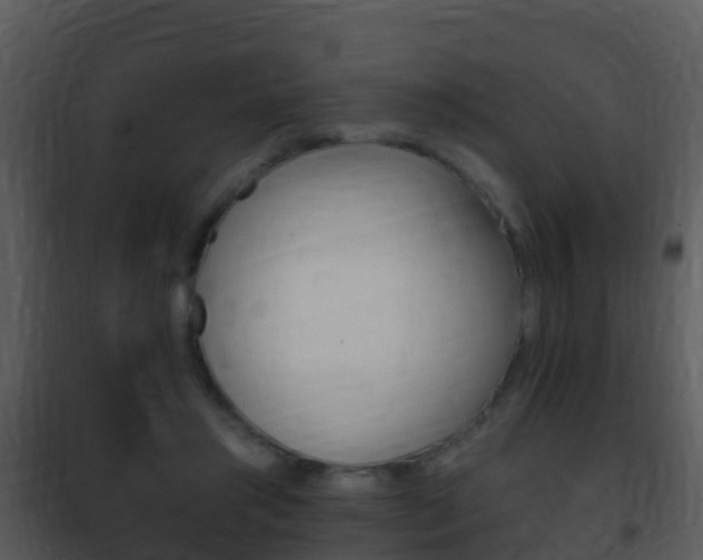 X0000101970405200807180731