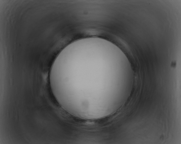 X0000101970406200807180731