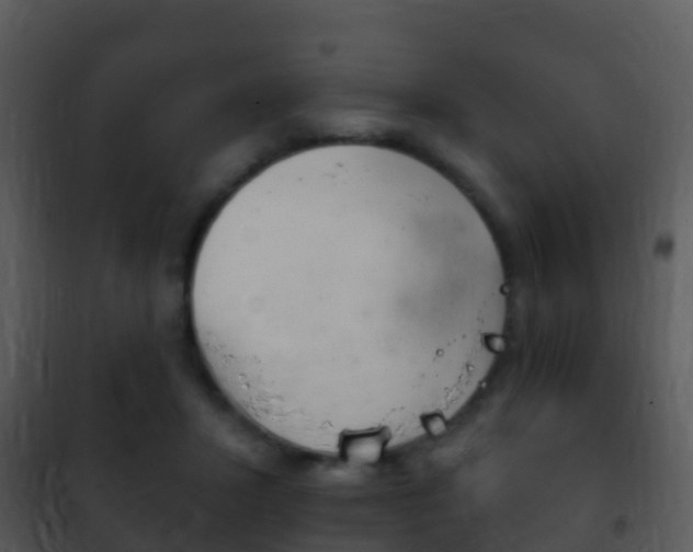 X0000101970407200807180731
