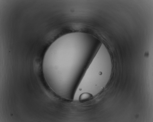 X0000101970408200807180731