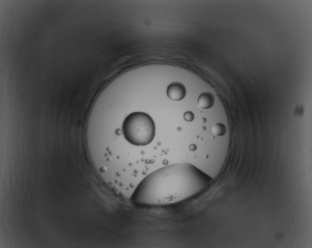 X0000101970409200807180731