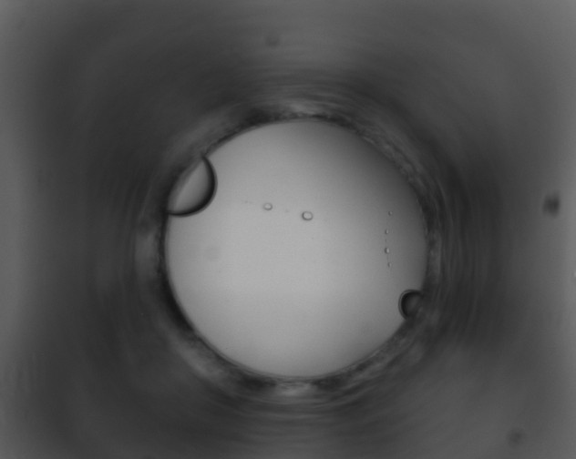 X0000101970410200807180731