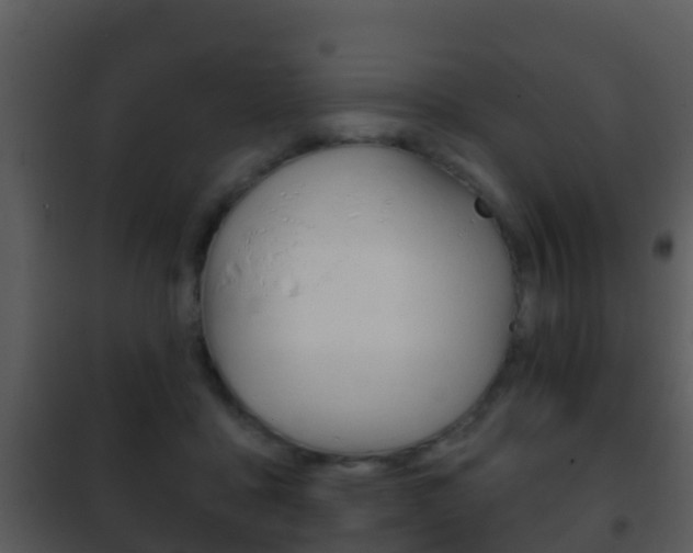 X0000101970411200807180731