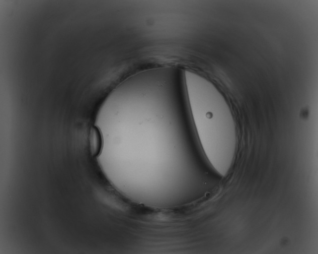 X0000101970412200807180731