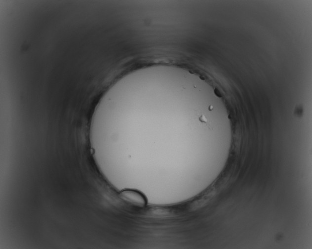 X0000101970413200807180731