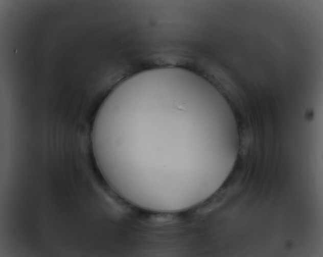 X0000101970414200807180731