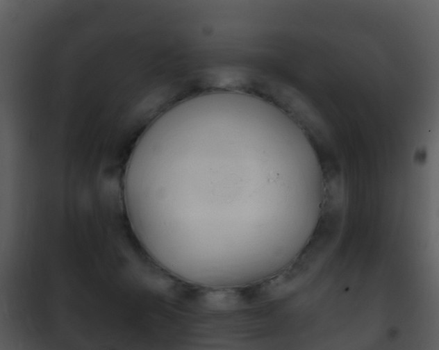X0000101970415200807180731