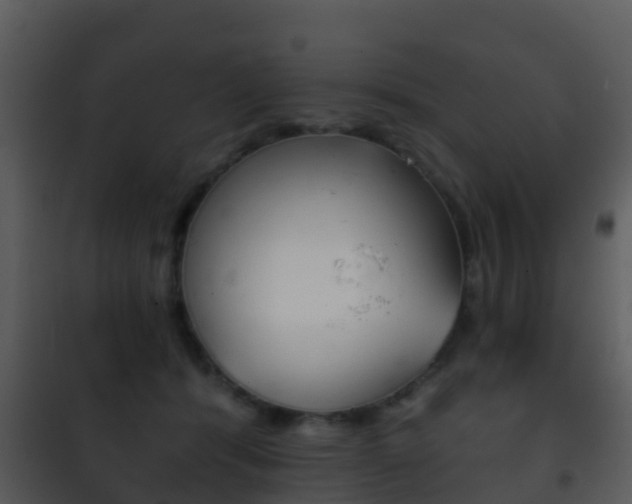 X0000101970416200807180731