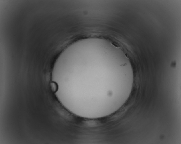 X0000101970417200807180731