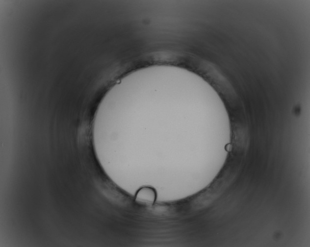 X0000101970419200807180731