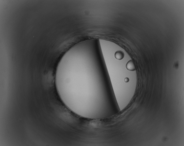 X0000101970420200807180731