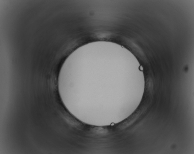 X0000101970421200807180731