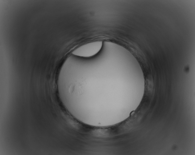 X0000101970422200807180731