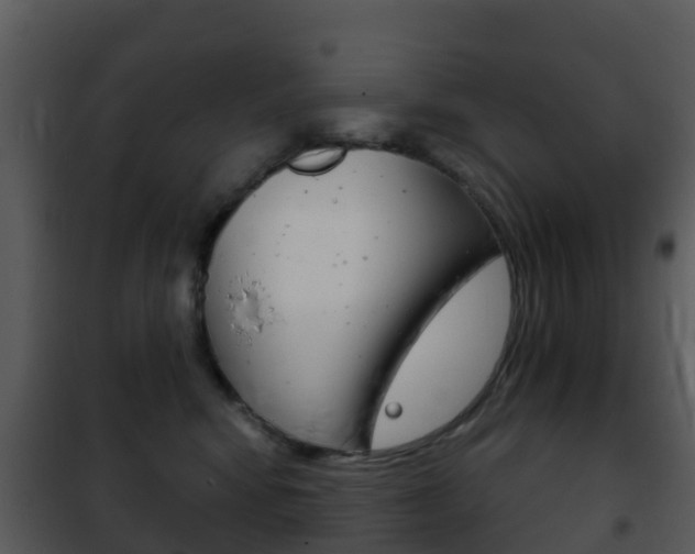 X0000101970424200807180731