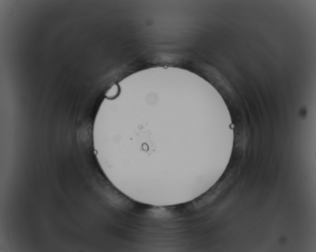 X0000101970425200807180731