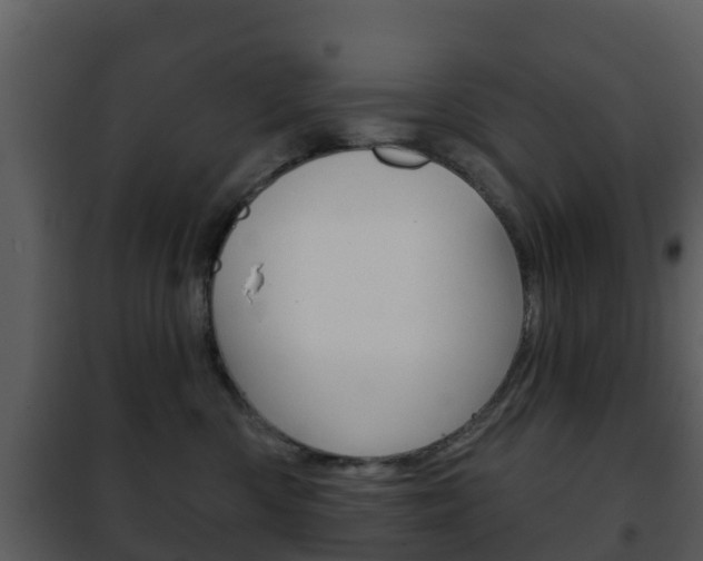 X0000101970426200807180731