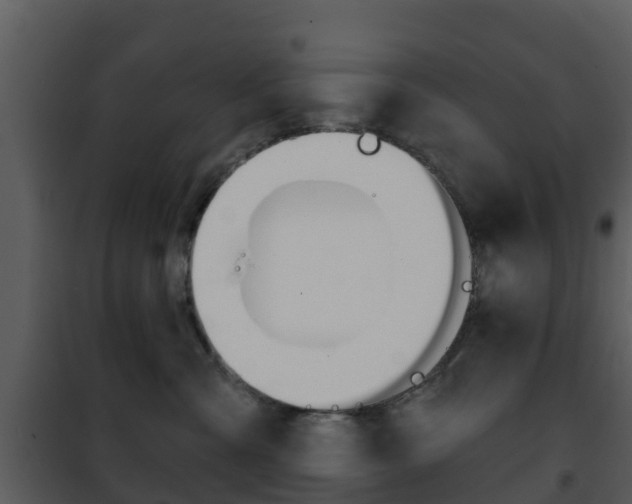 X0000101970427200807180731