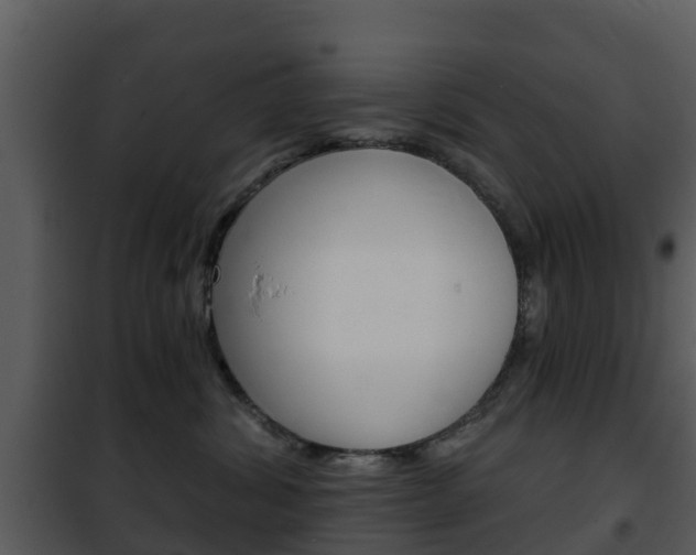 X0000101970428200807180731