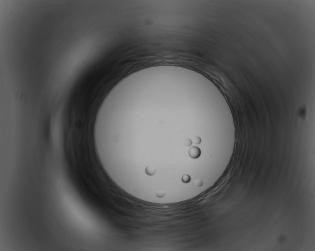 X0000101970429200807180731