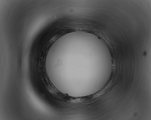 X0000101970430200807180731