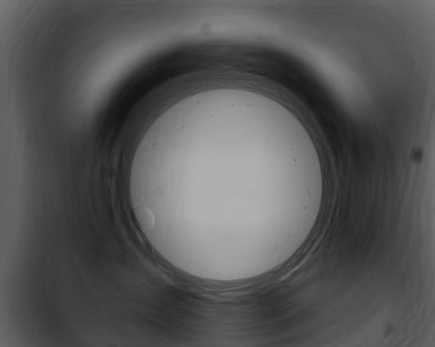 X0000101970431200807180731