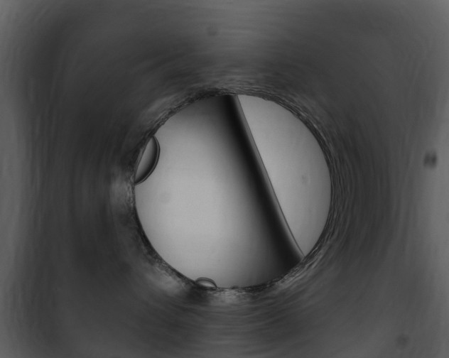X0000101970432200807180731
