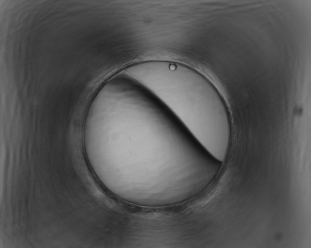 X0000101970433200807180730